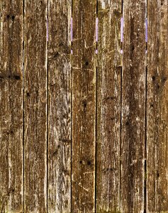Spruce spruce wood weathered photo