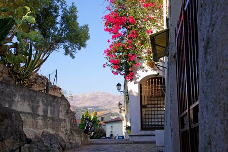 Town scalea calabria photo