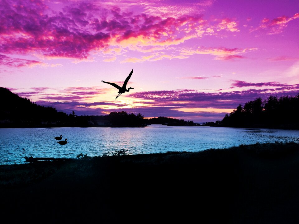 Nature landscape water