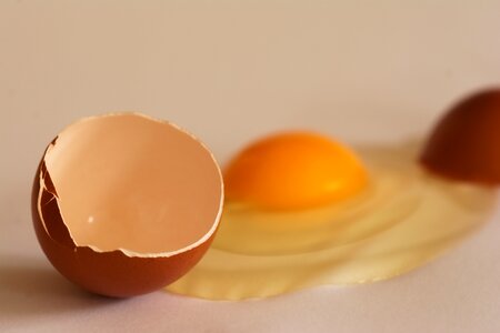 Shell recipe easter eggs