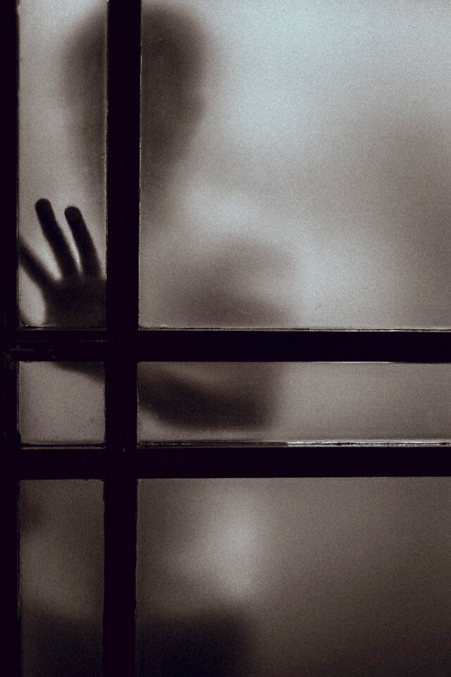 Window shadow silhouette