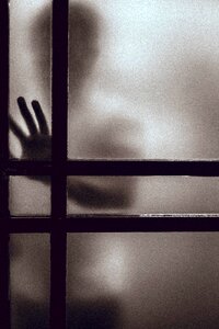 Window shadow silhouette