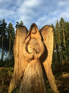 Angel carving forest
