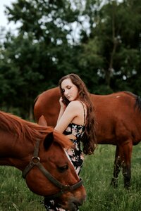 Pet herd green photo