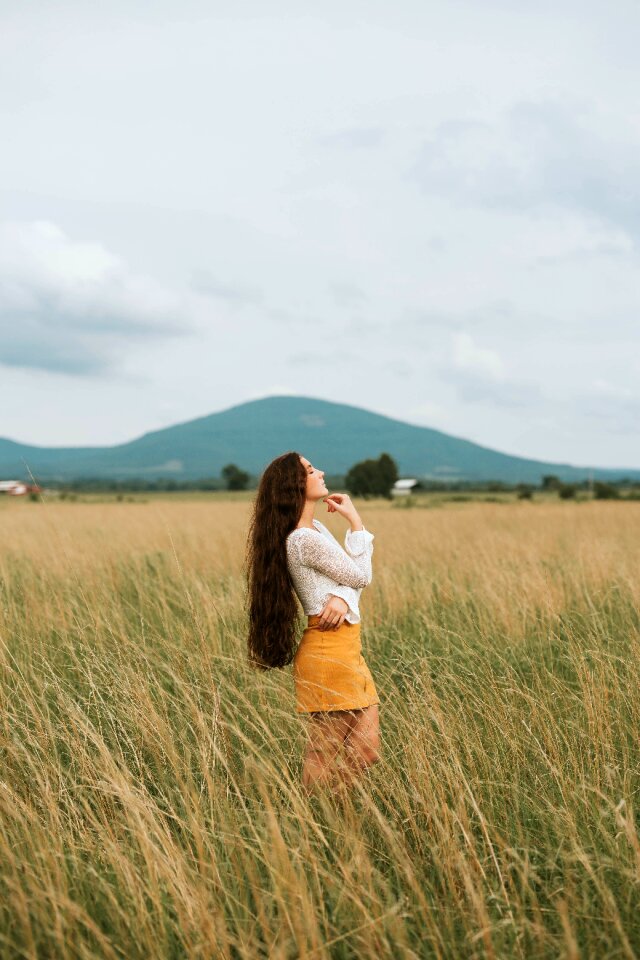 Alone green grass photo