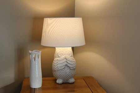 Lamp light vase photo