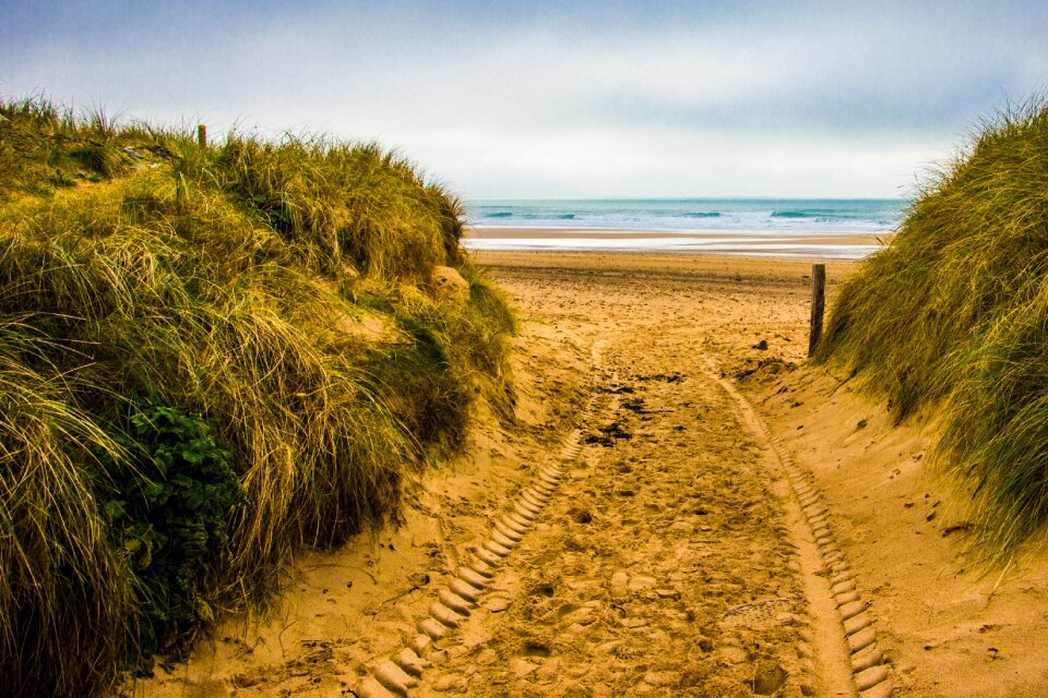 Sand travel grass