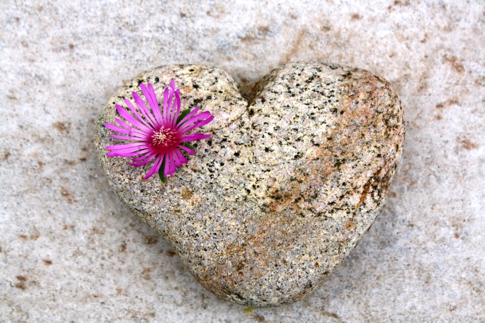 In love valentine image of love