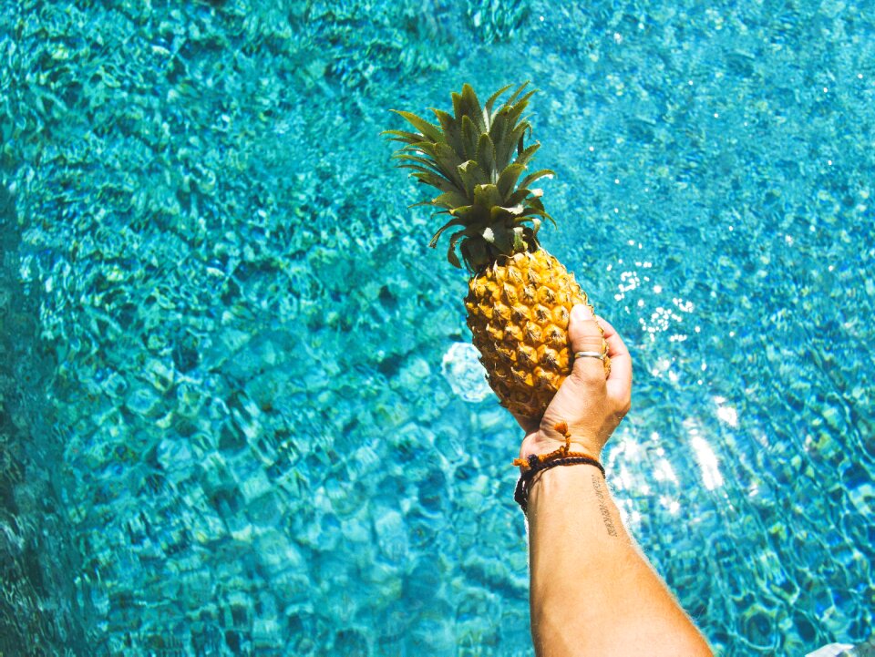 Water swimming food
