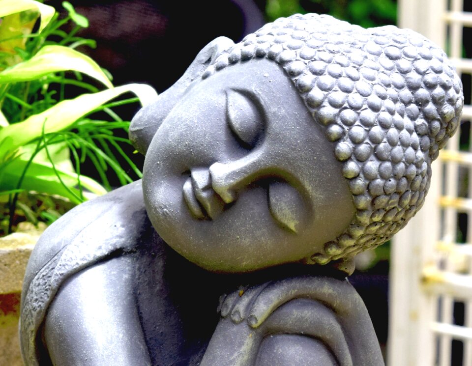 Buddha peace garden