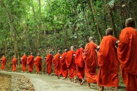 Travel temple monks photo
