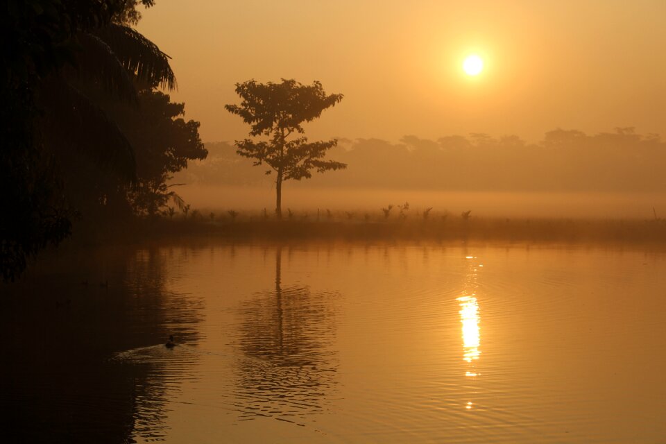 Sun morning landscape photo