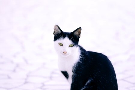 Black white sad