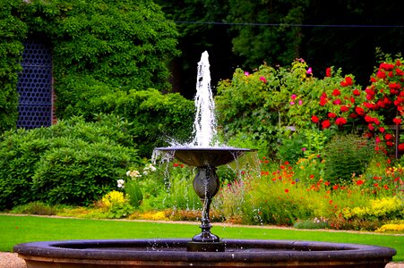 Water fountain flowers architecture