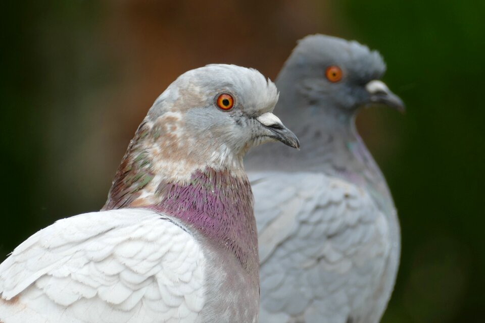 Close up couple together