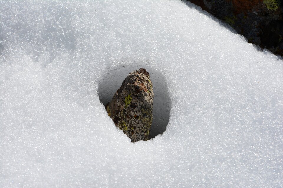 Macro nature the stones are photo