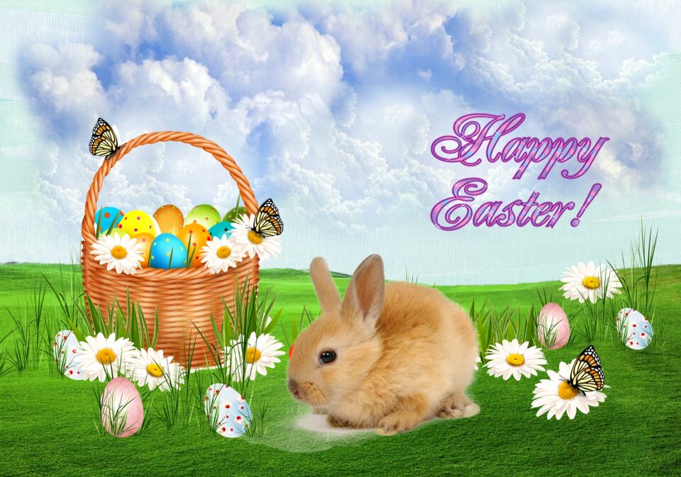 Easter rabbit Free photos