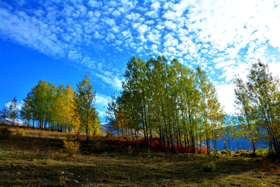Beautiful outdoor landscape
