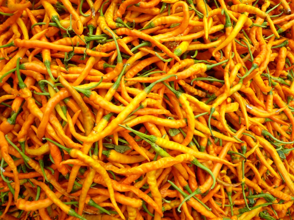 Red pepper yellow gong pepper hunan