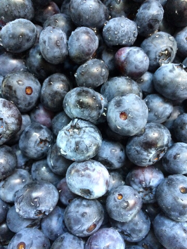 Blueberry juicy blue food