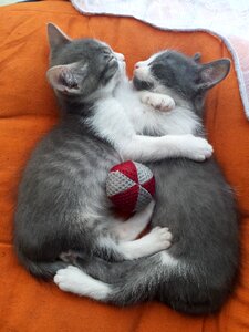 Love hug ball