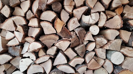Timber wood texture photo