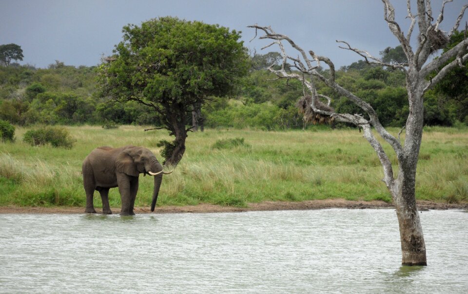 Travel landscape africa