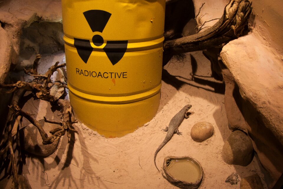 Habitat radioactive pollution