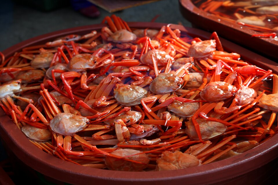 Sokcho crab red up to
