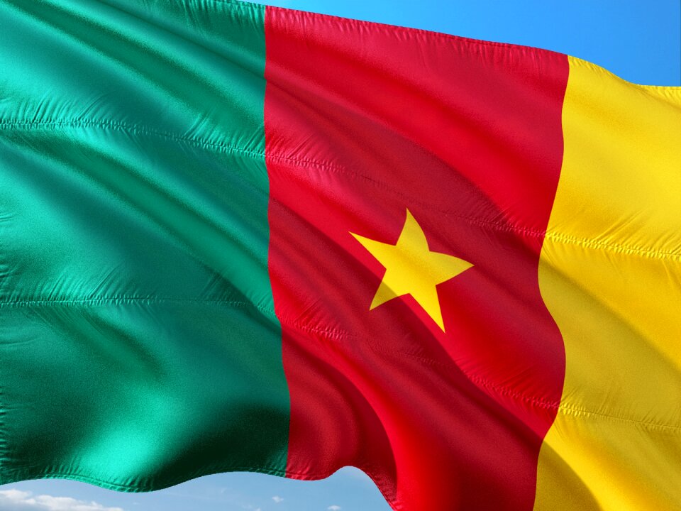 International flag cameroon