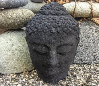 Buddha buddhism conscious