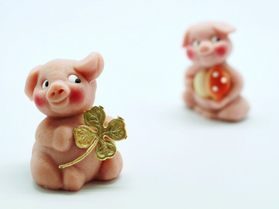 Lucky charm sweet good luck