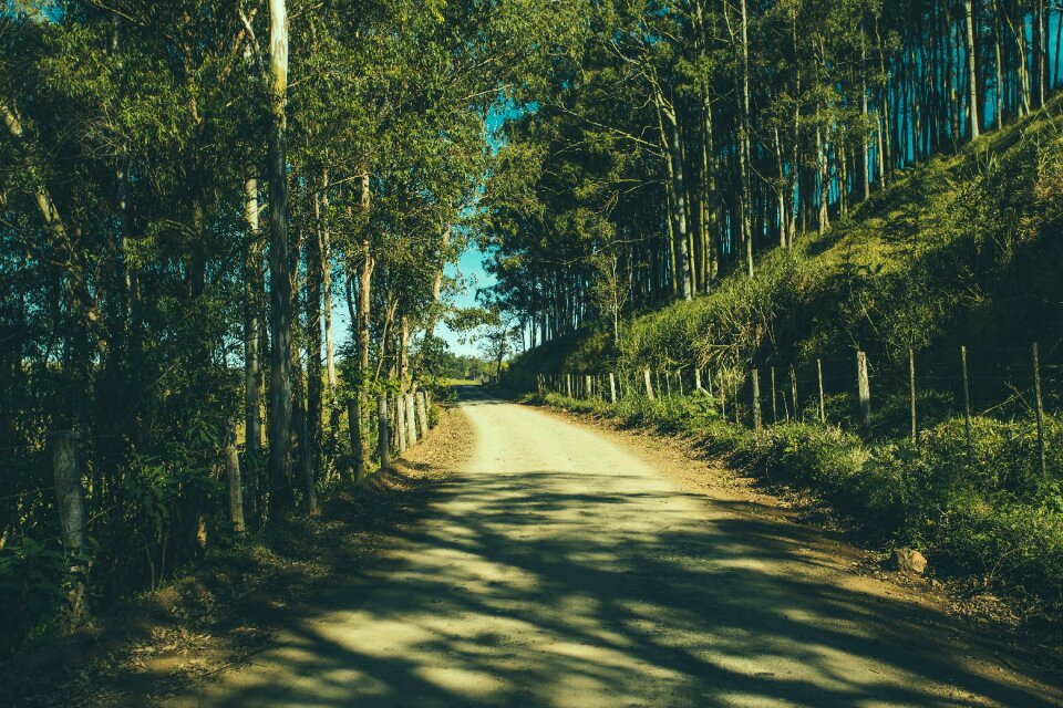 Fences dirt roads photo