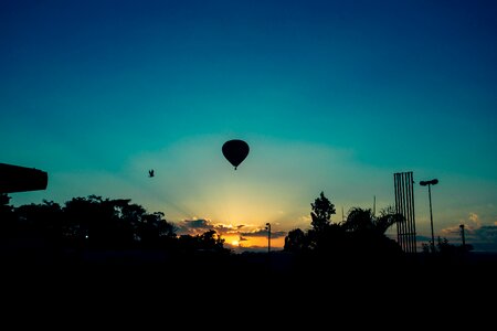 Trees hot air