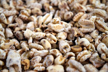 Food batch dry