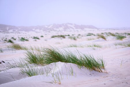Baltrum morgenstimmung north sea