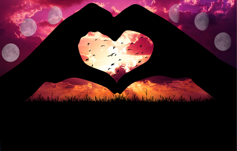 Silhouette heart birds