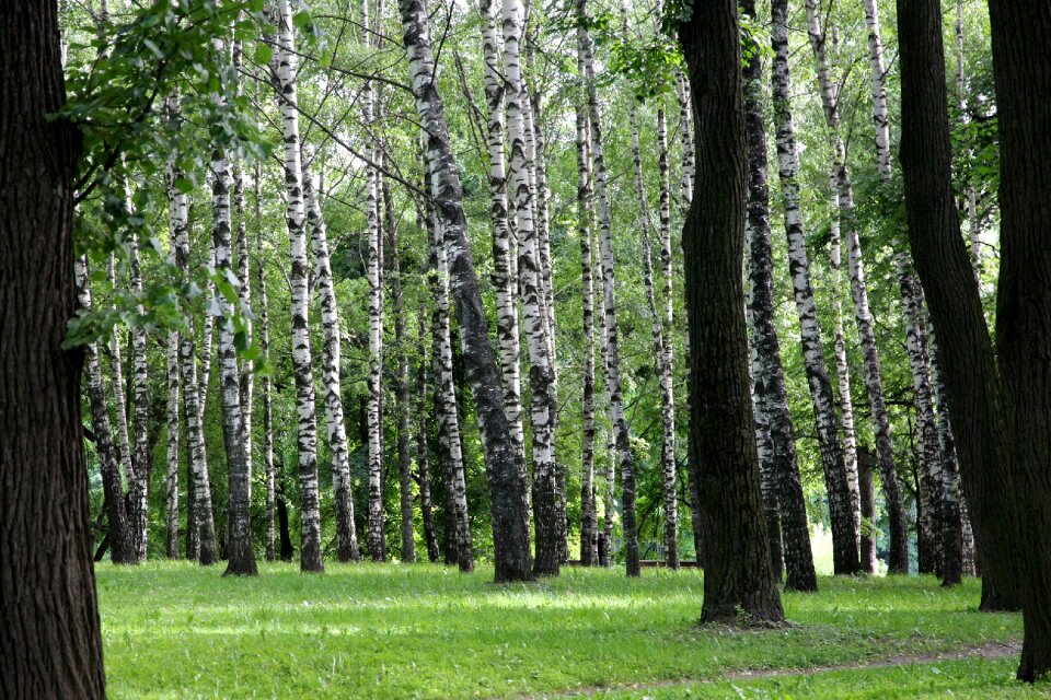 Nature park vacation