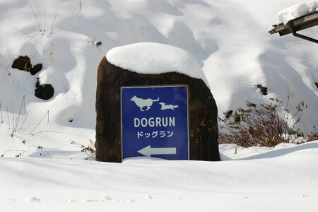 Cold outdoors billboard