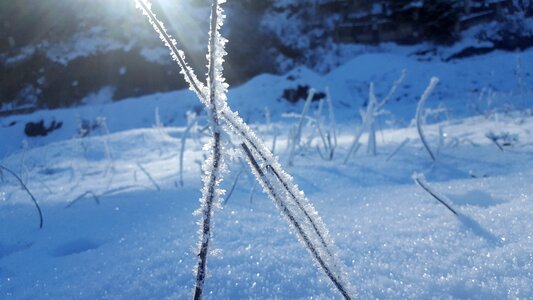 Frozen coldly ice photo