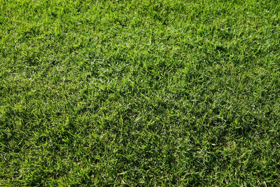 Decorative pattern texture