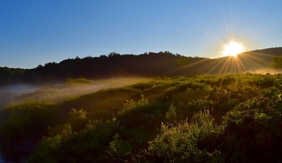 Daylight sunrise morning summer photo