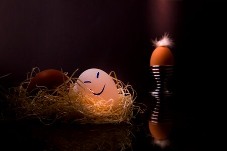 Happy eggs dark mood lichtspiel