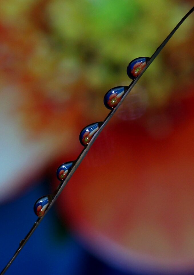 Macro reflection water