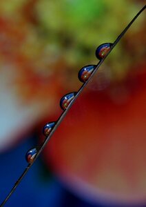Macro reflection water