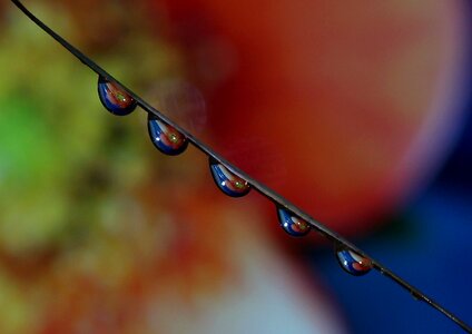 Macro reflection water