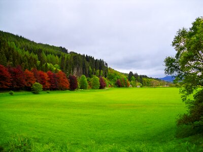 Farmland rural field