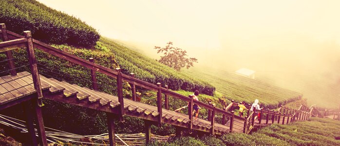 Landscape a bird's eye view agriculture