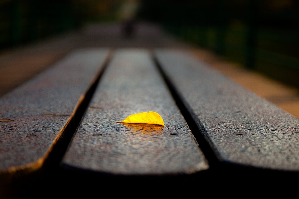 Color yellow bench