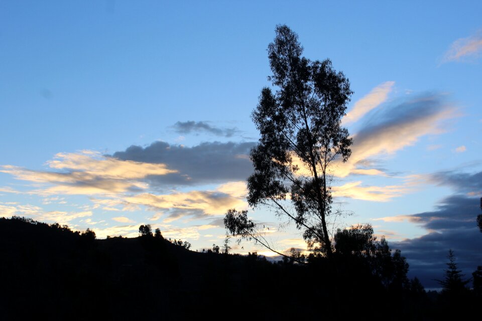 Amanecer naturaleza madrugada